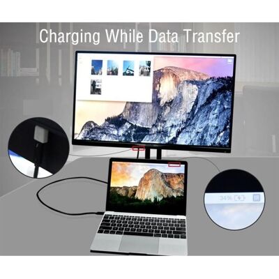 TopMedia USB 3.1 Gen 2 (10 Gbps)* USB-C to USB-C Cable, 50CM 5A E-Marker TopMedia USB 3.1 Gen 2 (10 Gbps)* USB-C to USB-C Cable, 50CM 5A E-Marker