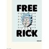 Grupo Erik Kunstdruk Rick And Morty Free Rick 30x40cm