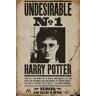 ABYstyle Poster Harry Potter Undesirable No 1 61x91,5cm