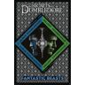 ABYstyle Poster Fantastic Beasts Dumbledore vs Grindelwald 61x91,5cm
