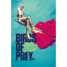 Grupo Erik Poster Birds of Prey Broken Heart 61x91,5cm