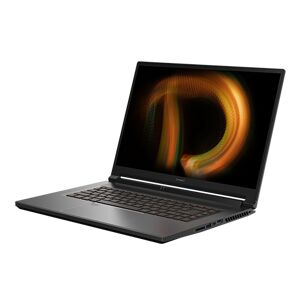 ConceptD 5  Laptop   CN516-72G   Zwart  - Black