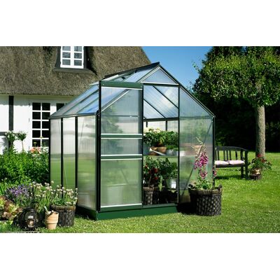 Royal Well Tuinkas Popular 66 klassiek groen - 4 mm polycarbonaat - 193x195 cm Royal Well Tuinkas Popular 66 klassiek groen - 4 mm polycarbonaat - 193x195 cm