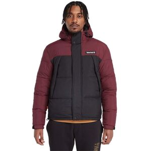 Timberland Archive Puffer Jacket Wijnrood M male Timberland Archive Puffer Jacket Wijnrood M male