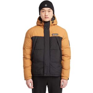 Timberland Archive Puffer Jacket Bruin XL male Timberland Archive Puffer Jacket Bruin XL male