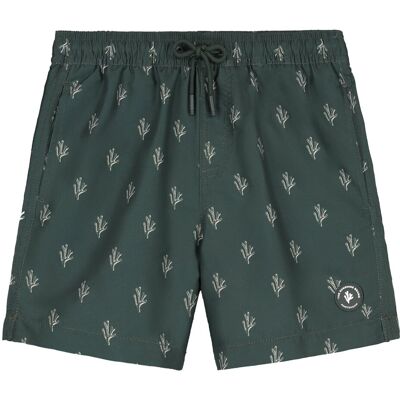 Shiwi Milo 4-inch Sketched Coral Zwemshort Kids Groen 146/152 boys Shiwi Milo 4-inch Sketched Coral Zwemshort Kids Groen 146/152 boys