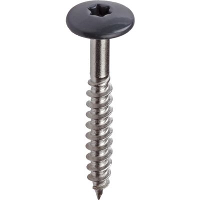 Toolstation Kleurkop schroeven RVS 4,8x38mm TX20 RAL 7016 Antraciet (100 Stuks) Toolstation Kleurkop schroeven RVS 4,8x38mm TX20 RAL 7016 Antraciet (100 Stuks)