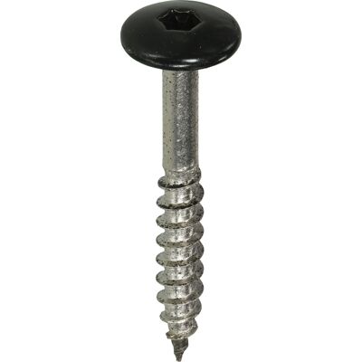 Toolstation Kleurkop schroeven RVS 4,8x38mm TX20 RAL 9005 Zwart (100 Stuks) Toolstation Kleurkop schroeven RVS 4,8x38mm TX20 RAL 9005 Zwart (100 Stuks)