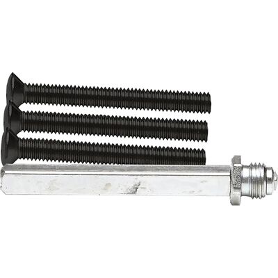 AXA wisselstift RVS + bouten M6x52mm zwart (Set) AXA wisselstift RVS + bouten M6x52mm zwart (Set)