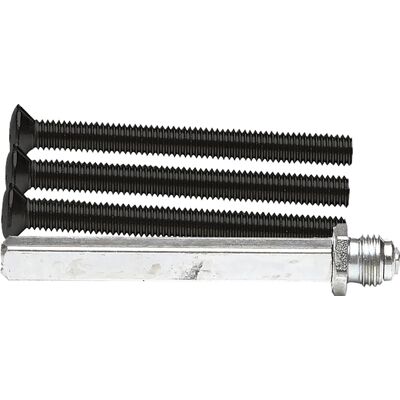 AXA wisselstift RVS + bouten M6x80mm zwart (Set) AXA wisselstift RVS + bouten M6x80mm zwart (Set)