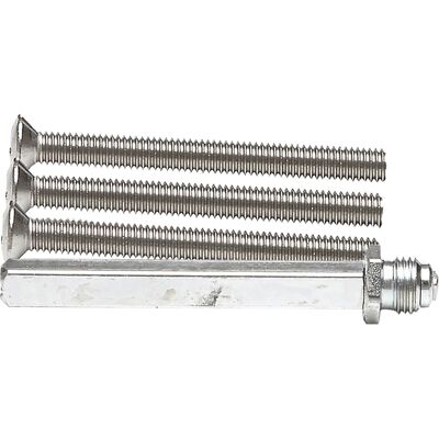 AXA wisselstift RVS + bouten M6x60mm (Set) AXA wisselstift RVS + bouten M6x60mm (Set)