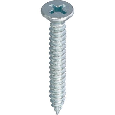 Toolstation Plaatschroeven platkop 2,9x9,5mm PH1 (200 Stuks) Toolstation Plaatschroeven platkop 2,9x9,5mm PH1 (200 Stuks)