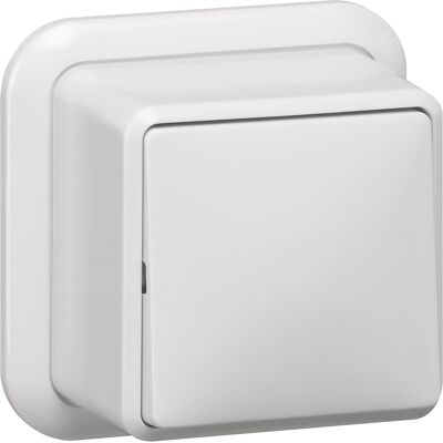 Gira wipschakelaar kruis opbouw met montageplaat en adapter K/P25 Glanzend wit Gira wipschakelaar kruis opbouw met montageplaat en adapter K/P25 Glanzend wit