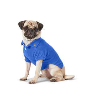Ralph Lauren Pet Cotton Mesh Dog Polo Shirt New Iris Blue Small Unisex