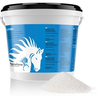 L-Lysine+ paard 1000 gram L-Lysine+ paard 1000 gram