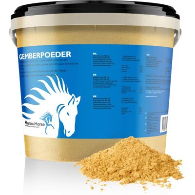 Gember paard 1000 gram Gember paard 1000 gram