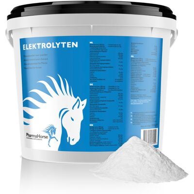 Elektrolyten paard 3000 gram Elektrolyten paard 3000 gram