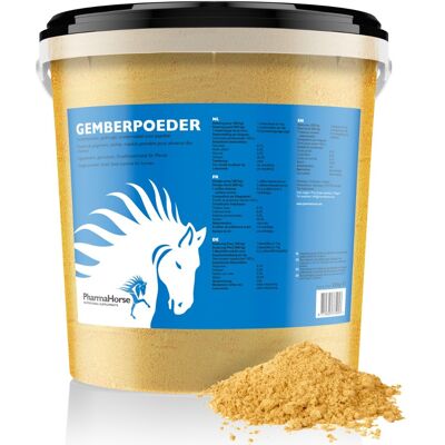 Gember paard 3000 gram Gember paard 3000 gram