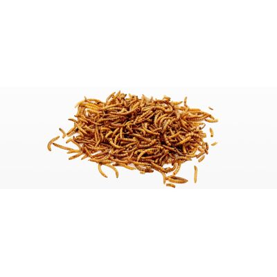 Strooivoer - Gedroogde Meelwormen - 500g (2,5L) Strooivoer - Gedroogde Meelwormen - 500g (2,5L)