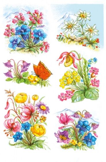 Haza Original etiketten 6 stuks 16 x 9 cm bloemen - Multicolor