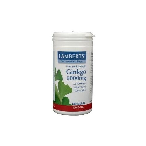 Lamberts Ginkgo 6000