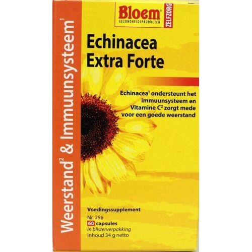 Bloem Echinacea