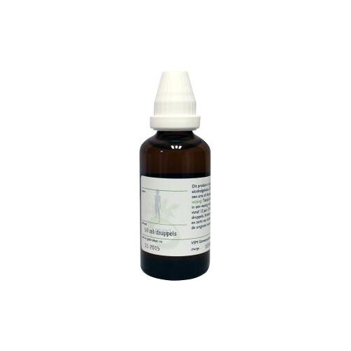 VSM Echinacea pallida D1 (50 ml)