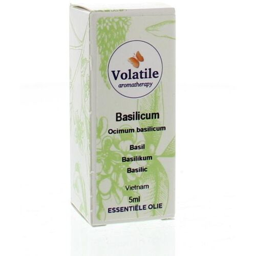 Volatile Basilicum