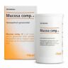 Heel Mucosa compositum H 250tb