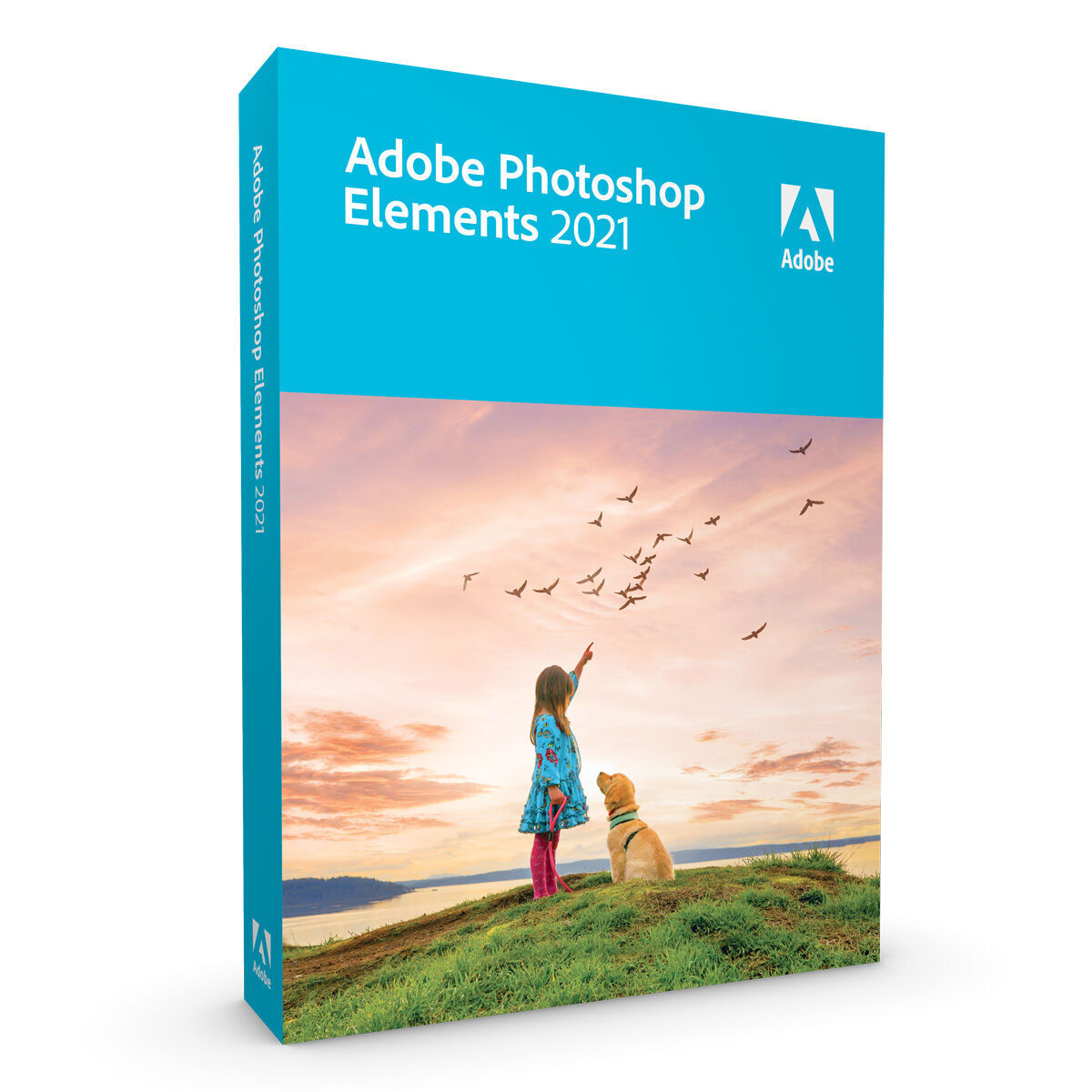 Adobe Photoshop Elements 2021 (NL) Windows