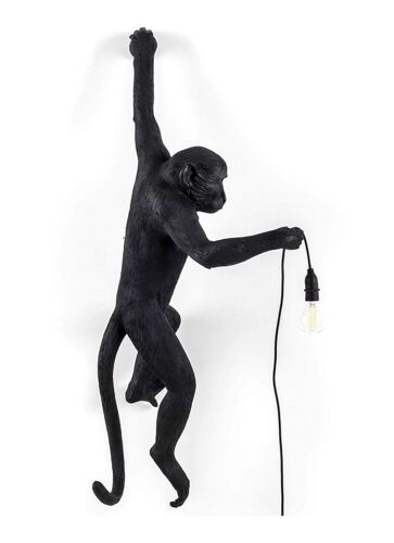 Seletti Monkey Hanging links wan...
