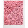 Gerard Darel Polly sjaal in zijdeblend met print 186 x 76 cm - Roze