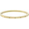 Fossil Sutton bangle met steen JF03872710 - Goud