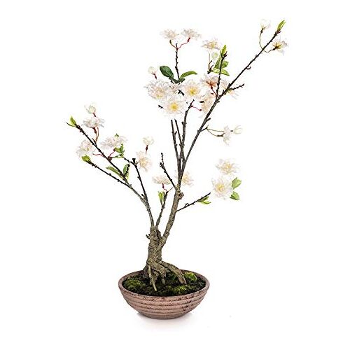 EUROCINSA 60220C01 Kast Bonsai met witte bloemen, doos met 2 stuks, kunststof, keramiek, 33 x 60 cm