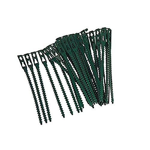 XCLOU Plantenbindmiddel in groen, 40 stuks, plantenclip 22 cm, kunststof bindmiddel weerbestendig, plantenbindmiddel voor tuin en bloemen, plantenklem