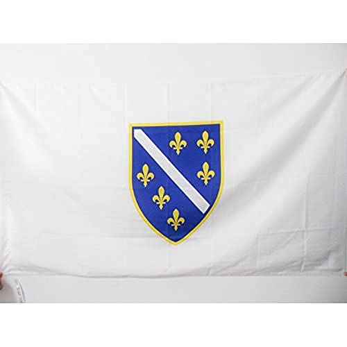 AZ FLAG Bosnië en Herzegovina 1992-1998 Vlag 150x90 cm voor een paal oude Bosnische vlaggen 90 x 150 cm Banner 3x5 ft met gat