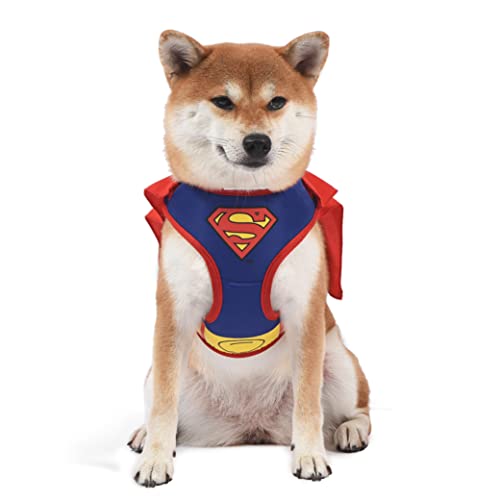 DC Comics Superman Superman-harnas voor honden zonder trek, hondenharnas met Superman-cape, kleding en accessoires voor kleine honden, maat S
