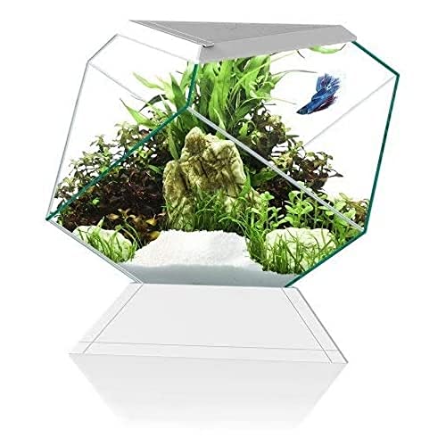 CIANO Aquarium Ciano Beta Nexus 5C Aquarium wit