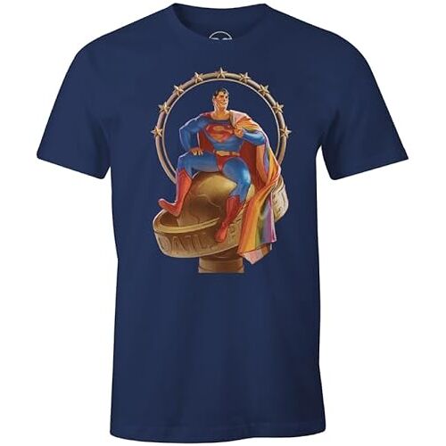 dc comics T-shirt voor heren, Koninklijk, L