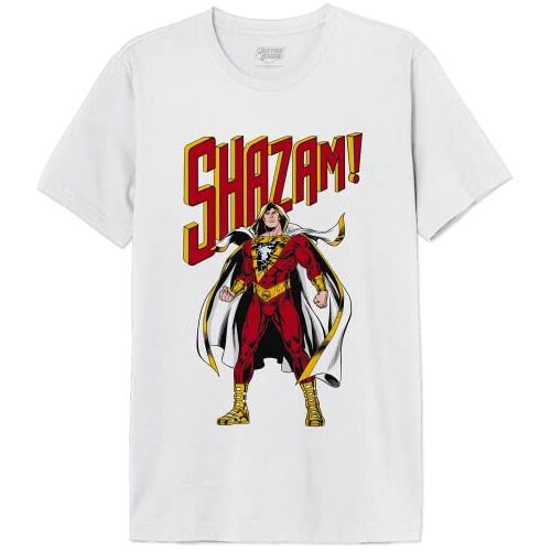 dc comics T-shirt heren, Wit, L