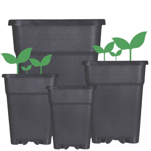 Weedness Bloempot Plastic 18 Liter 30x30x32 cm Vierkant in Zwart voor Binnen & Buiten Pot Plantenbak Kweekpot Bloempot Balkon Tuin