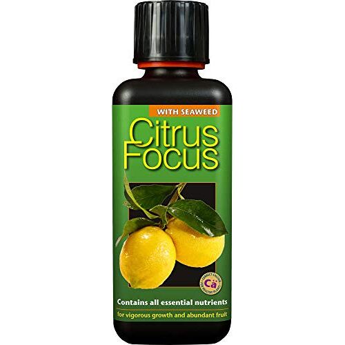 GrovTec Citrus Focus Geconcentreerde vloeibare meststof, 300 ml