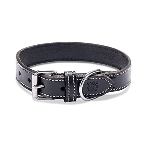 Jack & Russell Hondenhalsband van leer, zeer robuuste en elegante leren halsband van echt leer, hondenhalsband voor kleine en grote honden, Hector (S (34-41 cm))