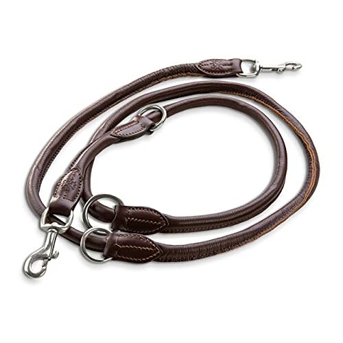 Jack & Russell Premium lederen hondenriem Dexter 2,0m hondenriem met messing karabijnhaak echt lederen riem meervoudig verstelbaar (Bruin)