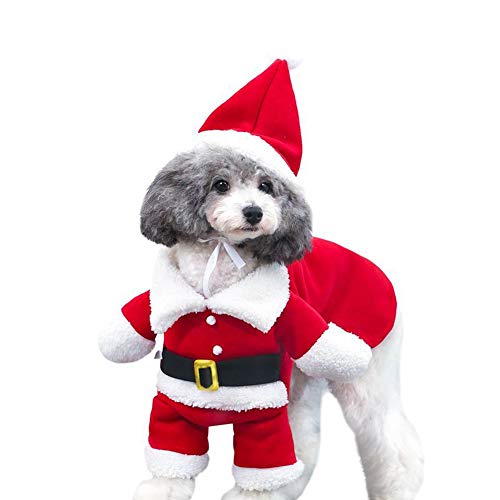 DELIFUR kerstkostuums voor huisdieren, hondenpak met pet, kerstmanpak voor hond, hoodies, kerstkostuums voor katten, feestpak, warm in de winter (Rood, S)