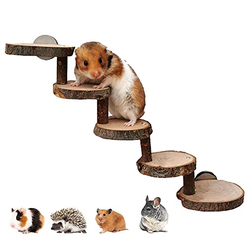 Rkllejs Hamster houten speelgoed, hamsterladder, klimspeelgoed voor hamsters, kauwspeelgoed voor hamsterratten, konijnen, geschikt voor hamsters, muizen, gerbils, ratten, eekhoorns, cavia's, papegaaien