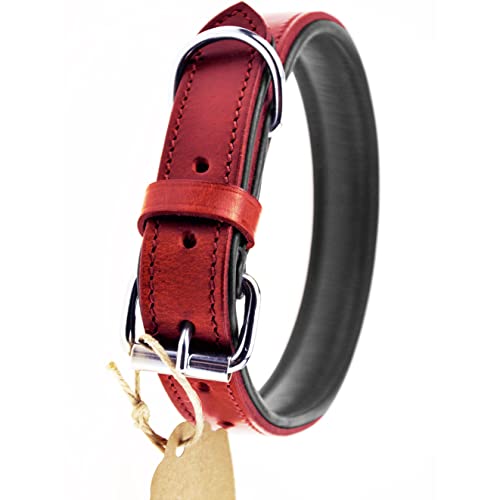 Schnüffelfreunde hondenhalsband van leer I Leren halsband voor de hond voor alle honden (S 24-30cm, Rood)