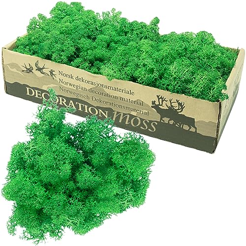 Flowerbox Doos IJslands mos grasgroen 500g