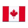 hegibaer 150 x 90 mm Canada vlag Canada vlag Ottawa patch opstrijkijzer 0636 XXL