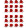 Influent UK Lest we Forget Remembrance Day Poppy Flower Stickers, Pack van 24 Papaver Stickers, 5 cm x 4 cm Elk